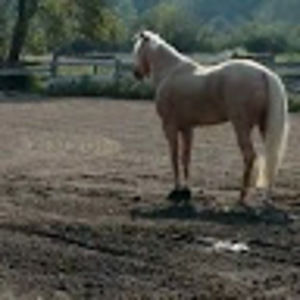 Meet your Posher, Julia